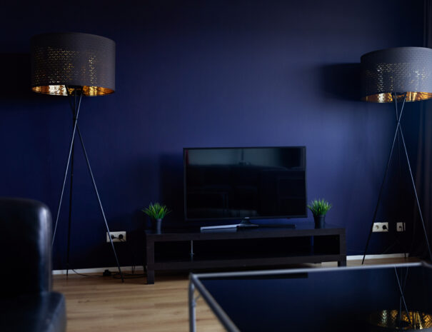 The Penthouse 768apt_010